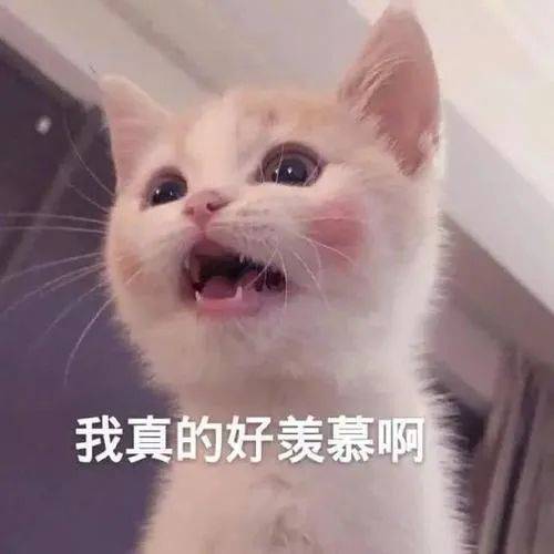 教育学择校看这一篇就够了！|凯发电游游戏登录入口